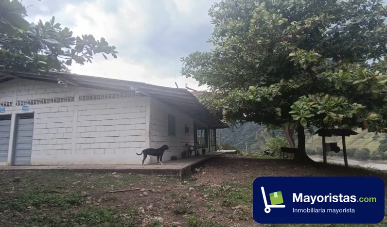 Finca ganadera de 613,9 ha en Anzá, Antioquia — foto 10 de 10