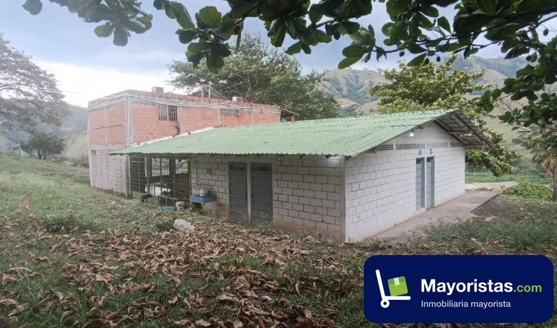 Finca ganadera de 613,9 ha en Anzá, Antioquia — foto 9 de 10
