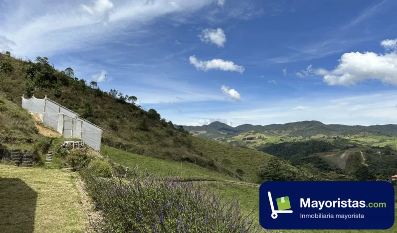 Finca ganadera de 20 ha en La Unión, Antioquia