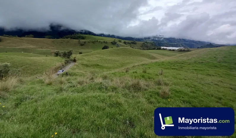Finca ganadera de 558 ha en Villamaria, Caldas