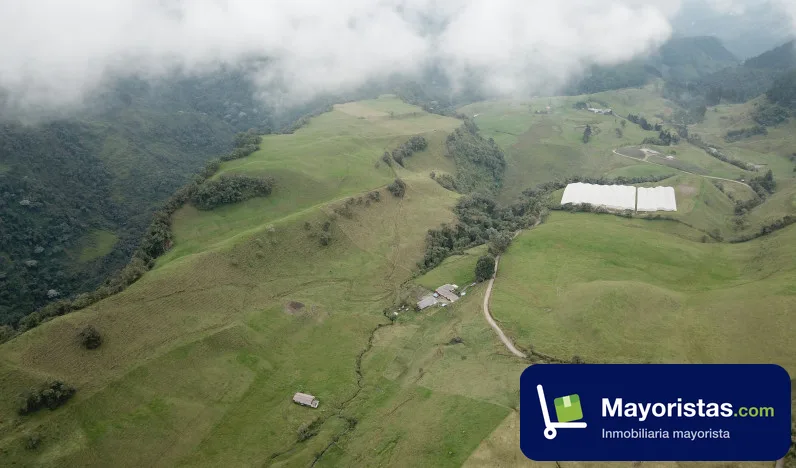 Finca ganadera de 558 ha en Villamaria, Caldas — foto 9 de 10