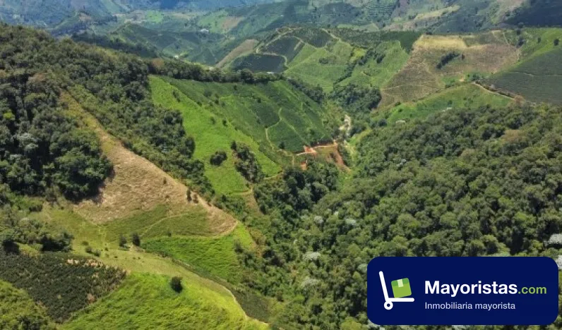 Finca cafetera de 170,7 ha en Andes, Antioquia