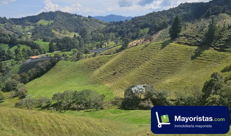 Finca ganadera de 31 ha en La Ceja, Antioquia