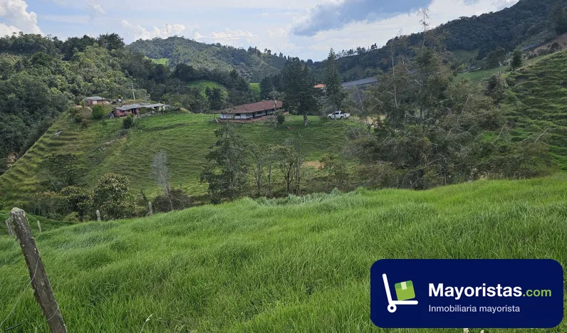 Finca ganadera de 31 ha en La Ceja, Antioquia — foto 9 de 10