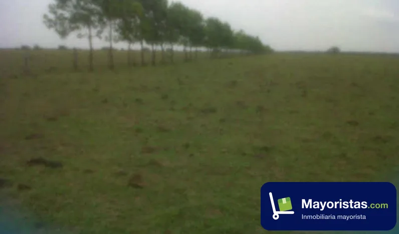 Finca ganadera de 11.830 ha en La Primavera, Vichada — foto 9 de 10