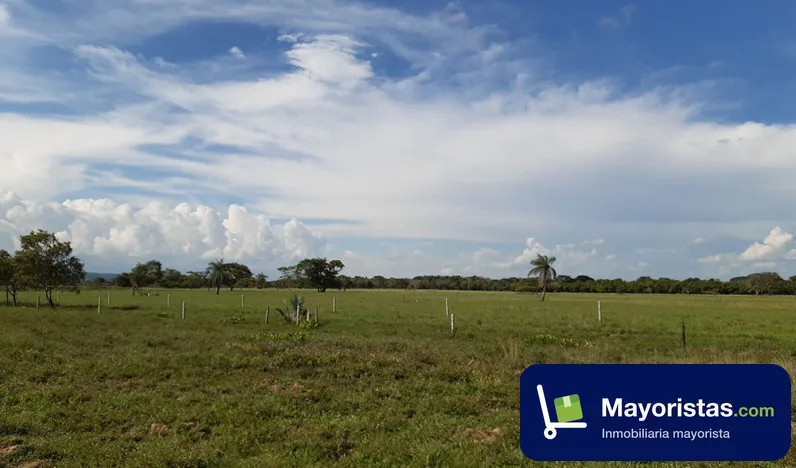 Finca ganadera de 480 ha en Tauramena, Casanare