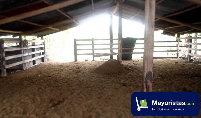 Finca ganadera de 480 ha en Tauramena, Casanare — foto 9 de 10