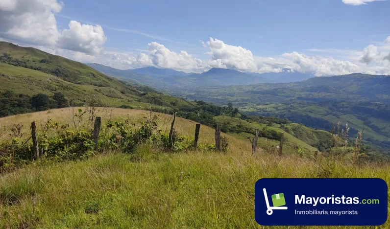 Finca cafetera de 9,8 ha en Charalá, Santander