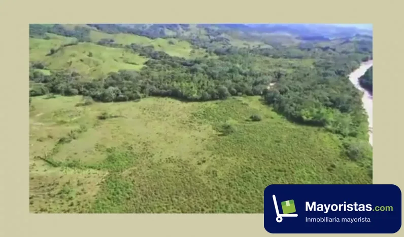 Finca agrícola de 1.200 ha en Paratebueno, Cundinamarca — foto 9 de 10