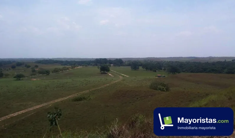 Finca ganadera de 1.769 ha en Puerto López, Meta