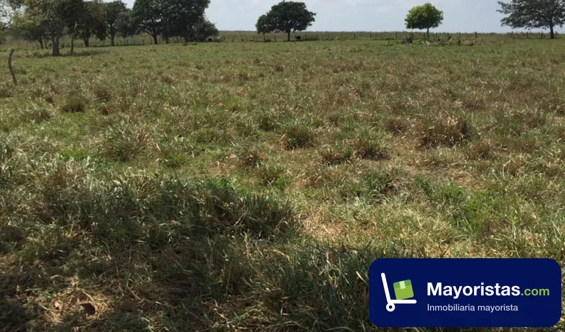 Finca ganadera de 1.090 ha en Puerto López, Meta