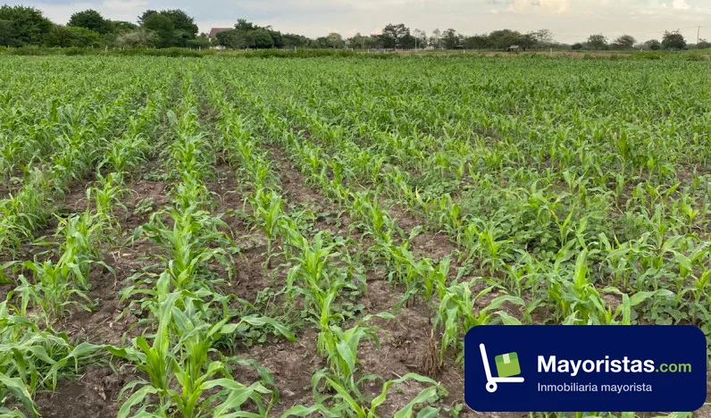 Finca ganadera de 168 ha en Candelaria, Atlántico