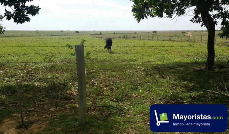 Finca ganadera de 4.100 ha en Puerto Gaitán, Meta