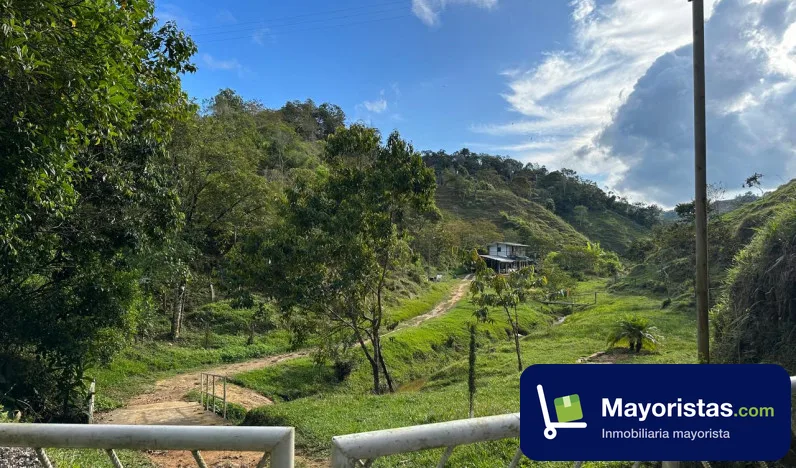 Finca agrícola de 5 ha en San Roque, Antioquia
