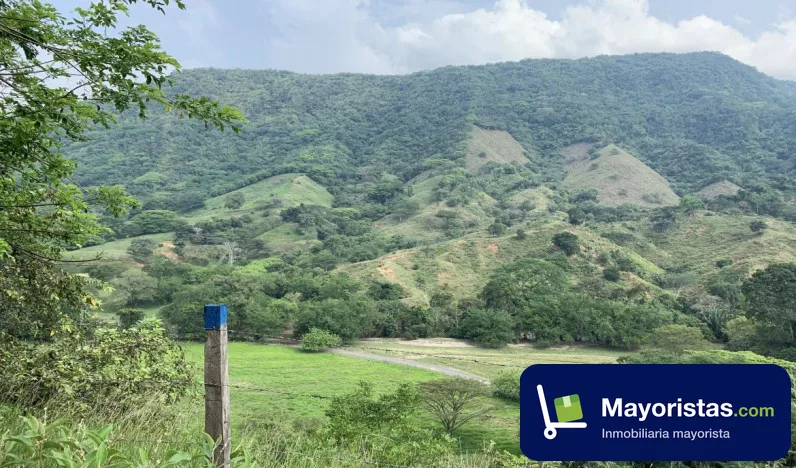 Finca ganadera de 1.100 ha en Puerto Salgar, Cundinamarca