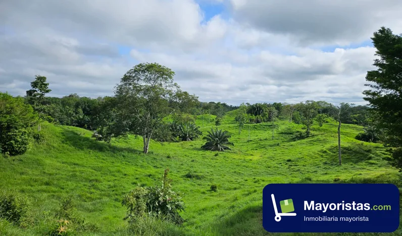 Finca ganadera de 218 ha en Puerto Boyacá, Boyacá — foto 9 de 10