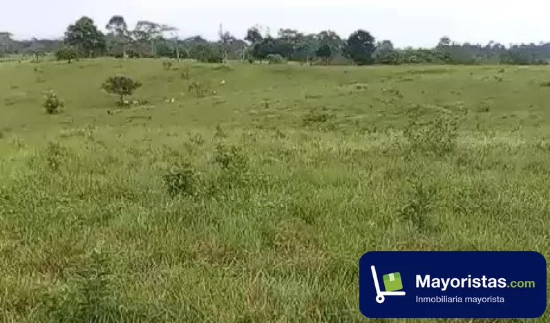 Finca ganadera de 256 ha en La Macarena, Meta