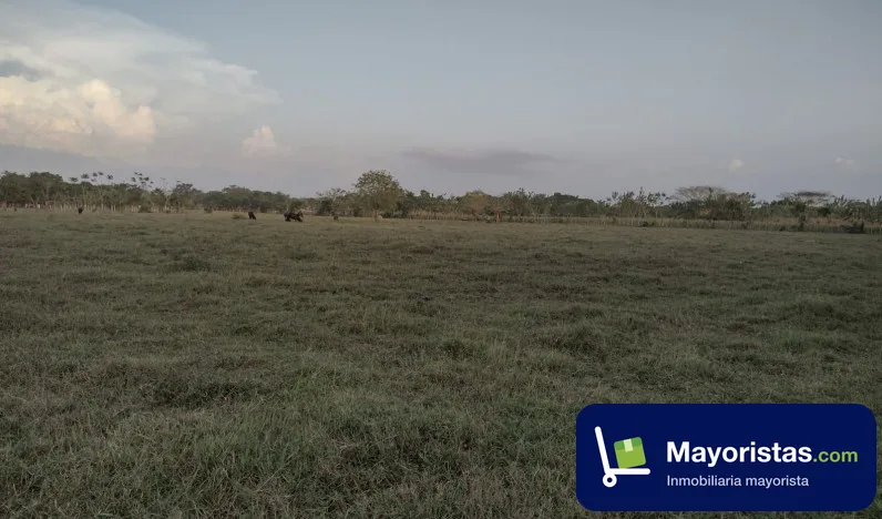 Lote de 3 ha en Cereté, Córdoba — foto 10 de 10