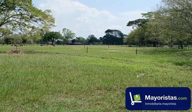 Finca ganadera de 10,5 ha en Puerto Salgar, Cundinamarca