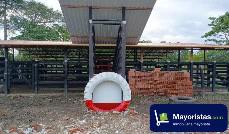 Finca ganadera de 10,5 ha en Puerto Salgar, Cundinamarca — foto 9 de 10