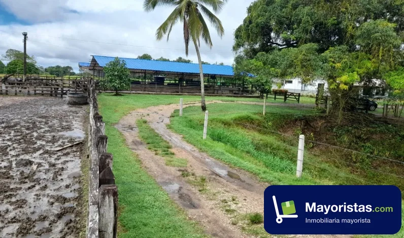 Finca ganadera de 1.230 ha en Barrancabermeja, Santander — foto 10 de 10