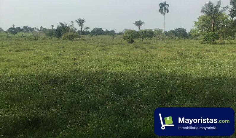 Finca ganadera de 310 ha en San Vicente del Caguán, Caquetá