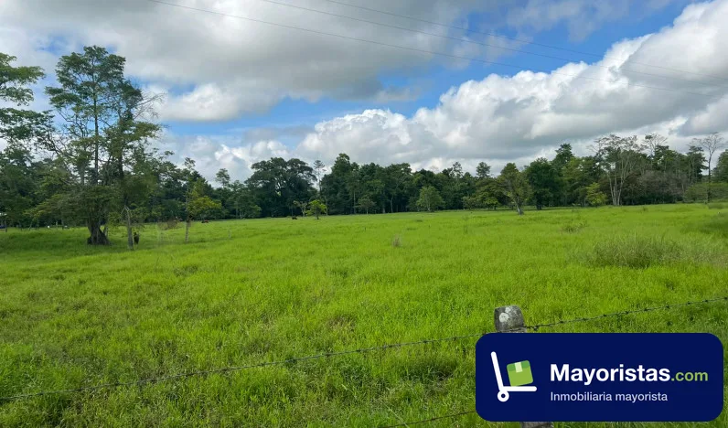 Finca ganadera de 1.400 ha en Puerto Boyacá, Boyacá