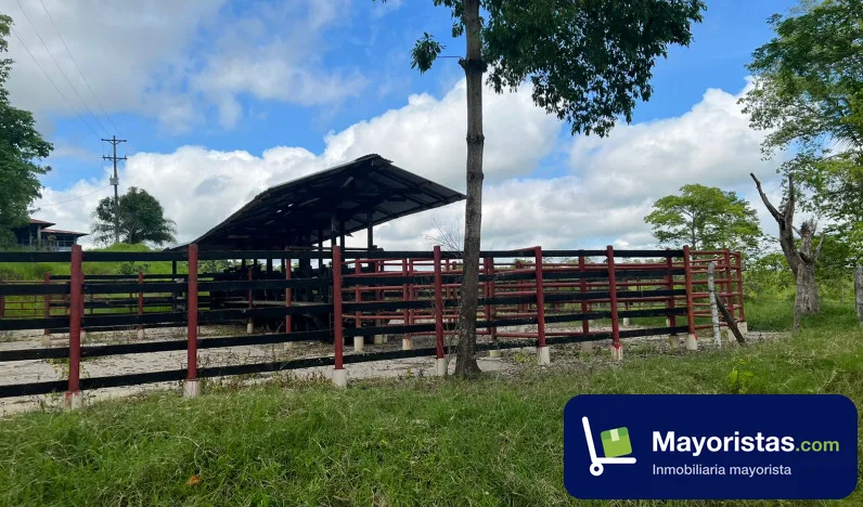 Finca ganadera de 1.400 ha en Puerto Boyacá, Boyacá — foto 10 de 10