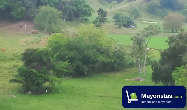 Finca ganadera de 140 ha en Puerto Boyacá, Boyacá