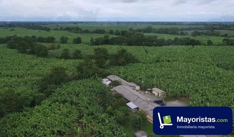 Finca agrícola de 130 ha en Apartadó, Antioquia