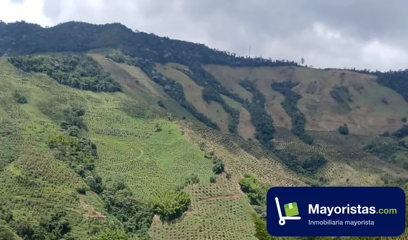 Finca ganadera de 102 ha en Argelia, Valle del Cauca