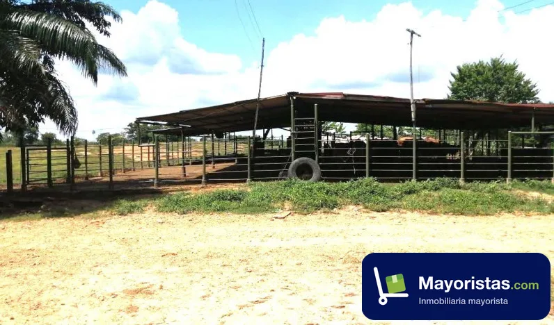 Finca ganadera de 186 ha en Barrancabermeja, Santander — foto 9 de 10