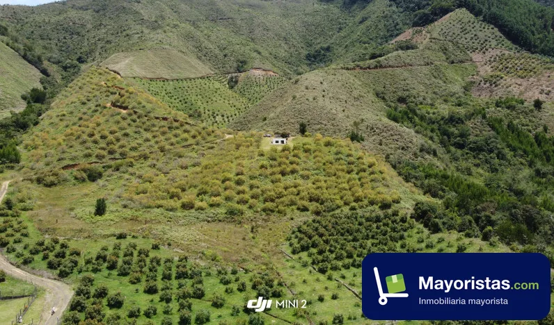Finca agrícola de 14,5 ha en Urrao, Antioquia