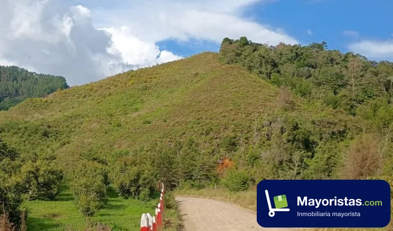 Finca agrícola de 45 ha en Urrao, Antioquia