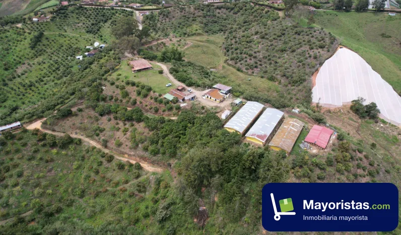 Finca agrícola de 8,3 ha en Marinilla, Antioquia