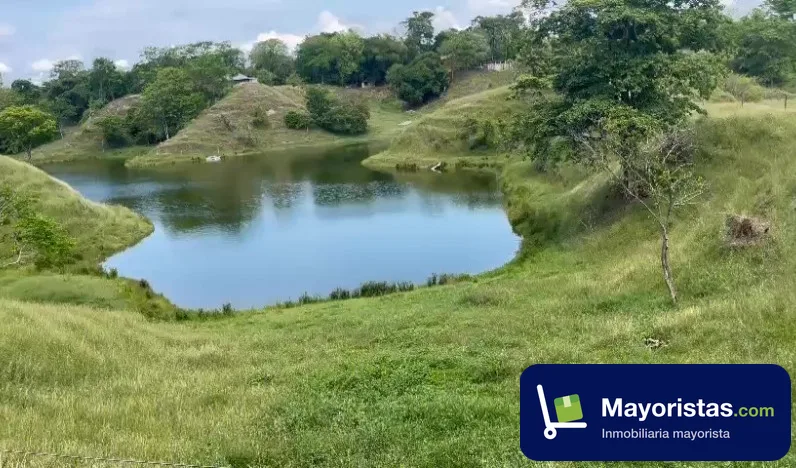 Finca ganadera de 123 ha en Puerto Boyacá, Boyacá