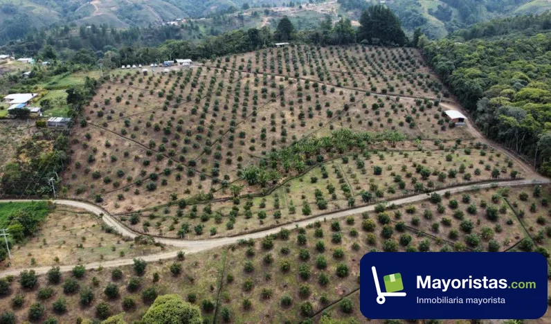 Finca agrícola de 7,2 ha en Timbío, Cauca