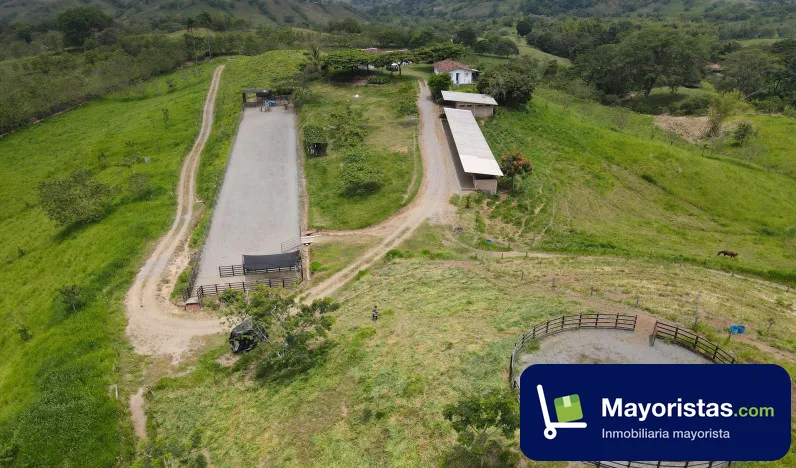 Finca ganadera de 9,4 ha en Neira, Caldas