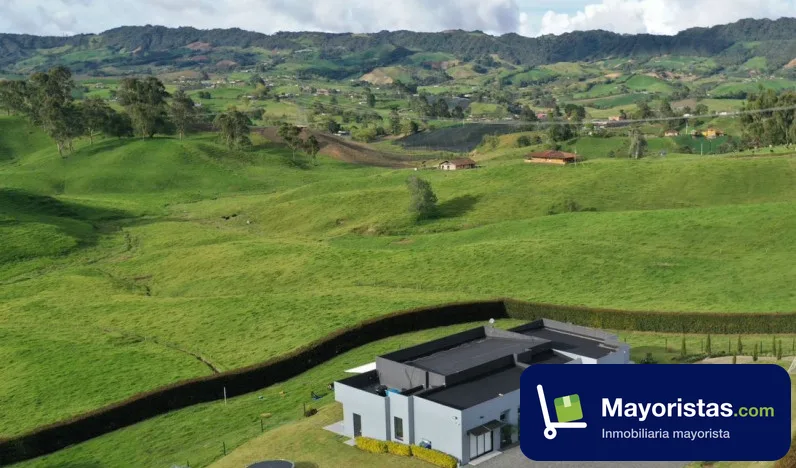 Finca ganadera de 32 ha en La Unión, Antioquia — foto 10 de 10