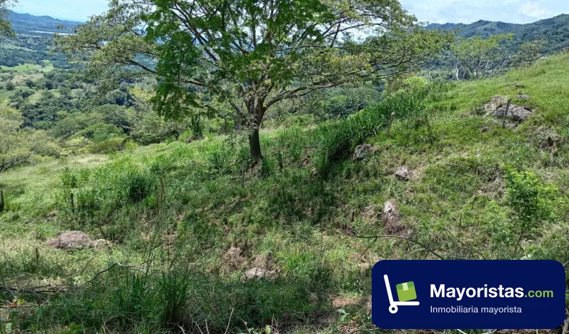 Finca ganadera de 30 ha en Guaduas, Cundinamarca