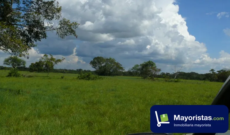Finca ganadera de 784 ha en Puerto Gaitán, Meta