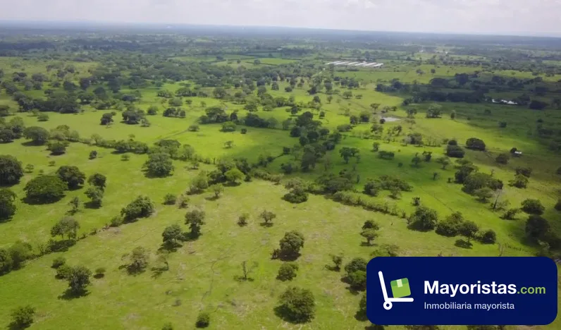 Finca ganadera de 130 ha en Arjona, Bolívar