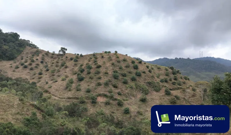 Finca ganadera de 90 ha en Santo Domingo, Antioquia