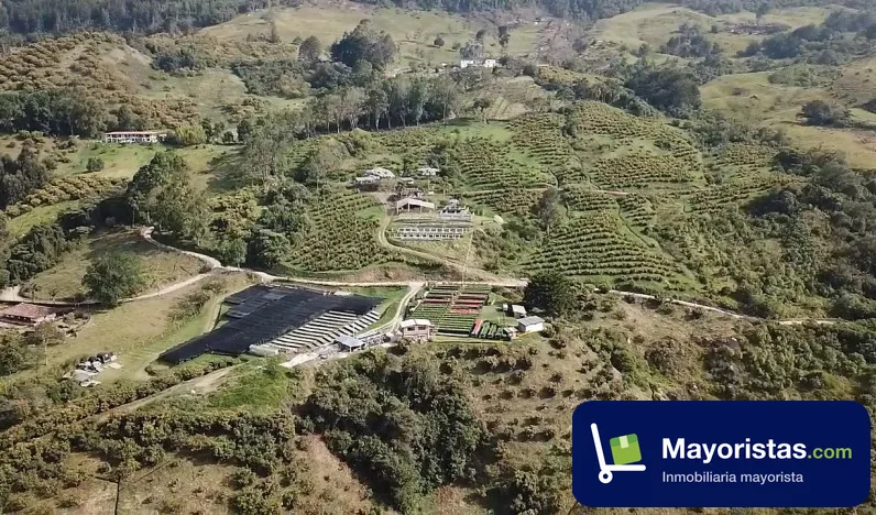 Finca agrícola de 125 ha en Sonsón, Antioquia