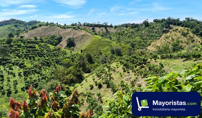 Finca agrícola de 30 ha en San Roque, Antioquia