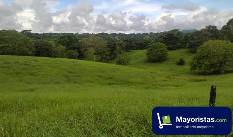 Finca ganadera de 888 ha en Montería, Córdoba