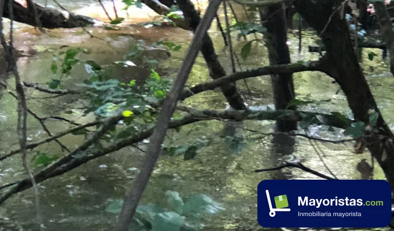 Finca ganadera de 630 ha en Puerto Gaitán, Meta — foto 10 de 10