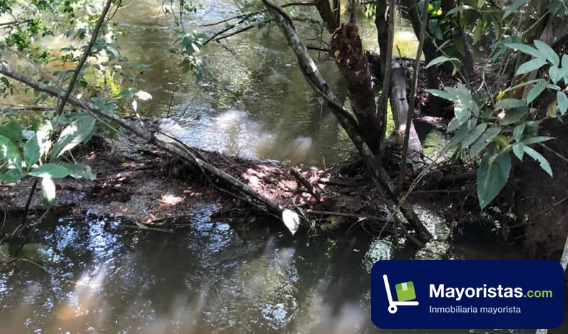 Finca ganadera de 630 ha en Puerto Gaitán, Meta — foto 9 de 10