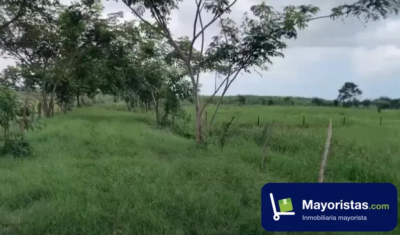Finca ganadera de 117 ha en Soledad, Atlántico