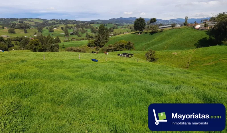 Finca ganadera de 10,2 ha en San Pedro de Los Milagros, Antioquia